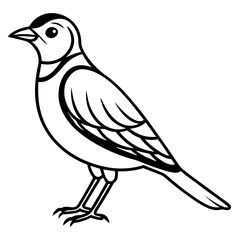 Fototapeta premium Lark line art vector