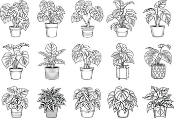 Tropical Houseplant Line Art Icon Set, Collection of potted plants, variety of houseplants, indoor gardening, botanical drawings, eco-friendly decor, natural elements, living room plants