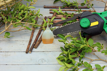 bottle of oil and mini chainsaw. garden equipment maintenance.