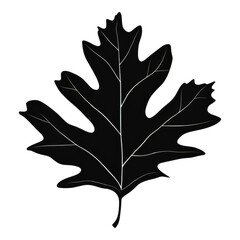 Naklejka premium Simple and clean black silhouette of oak leaf with visible white veins, showcasing natural and minimalistic design