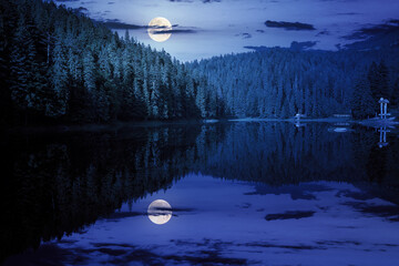 scenic landscape with lake among coniferous forest at night. green environment in the heart of a spooky park in full moon glowing light