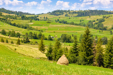 rural mountain landscape in summer. haystack on green hill near village. alpine scenery at the foot of borzhava ridge of ukraine in afternoon light