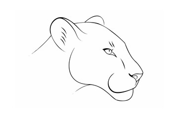 Elegant minimalist black and white contour drawing of a lioness head profile