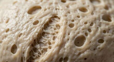 Close-up of fermented sourdough bread dough with air bubbles