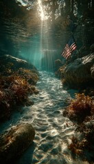 Underwater scene with American flag illuminated by sunlight