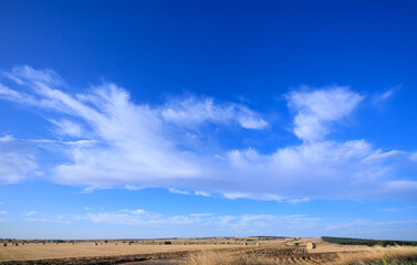 View of Alta Murgia National Park: straw bale in harvested corn fields in Apulia region, Italy. 