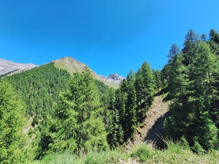 Summer Hike through Val Trupchun