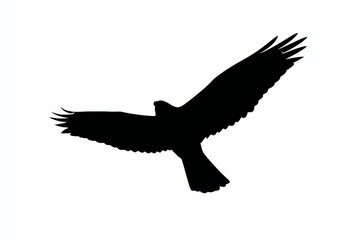 Obraz premium Majestic raptor soaring through the air, depicted in a striking black silhouette on a clean white background.