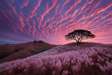 Fototapeten Serene sunset landscape lonely tree pink grass hill dramatic sky © PNG House