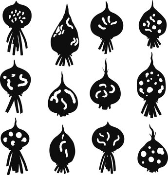 Beetroot Plant and Root Weevil Silhouettes: Agricultural Pest Infestation, Crop Damage, Gardening Issues, and Farm Problems Concepts.