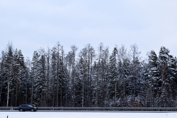 Winter Roadside Forest with Snow-Covered Trees and Passing Car