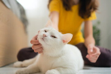 Adolescent female holding her pristine white cat in loving embrace. Beautiful demonstration of pet...