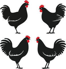 Isolated vector silhouette illustration of a farm rooster and hen with a chick, perfect for poultry and agriculture designs