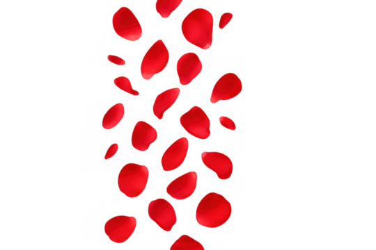 Soft red rose petals falling gently, creating romantic atmosphere with translucent background showing delicate floral movement