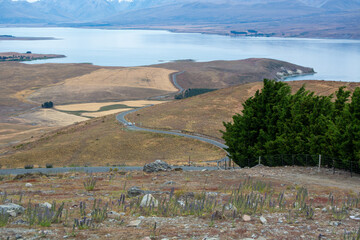 Winding Road Through Scenic Landscape
