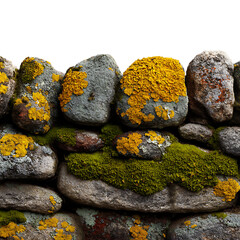 Stunning Mossy Stone Wall Texture Natures Artistic Masterpiece white background against transparent Background