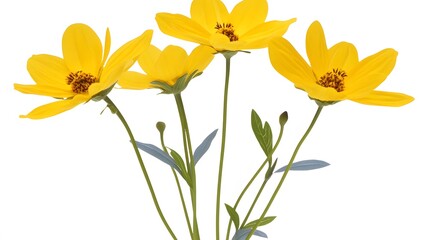 Obraz premium Vibrant Yellow Flowers Bouquet Still Life Photography