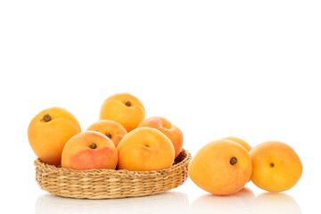 Sweet organic apricots isolated on white background, close-up.