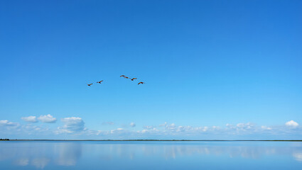 Obraz premium A serene view of birds flying over calm water reflecting the bright blue sky with scattered clouds