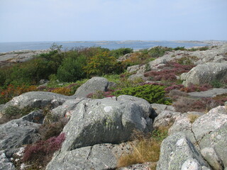 rocks near the coast