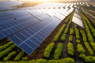aerial view solar power station