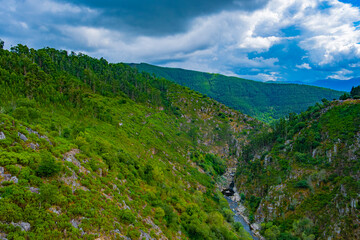 Photo of the river in the gorge between the forest mountains on a beautiful sunny day