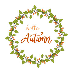 Hello Autumn text. Wreath of oak acorns on branch, beautiful oak branches with acorn fruits in form of round frame. Isolated on white background.