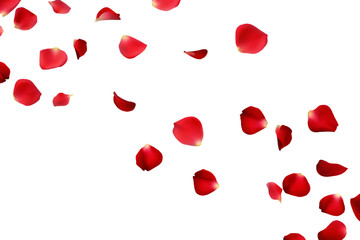   rose petals flying isolated on white background PNG , AI GENERATED
