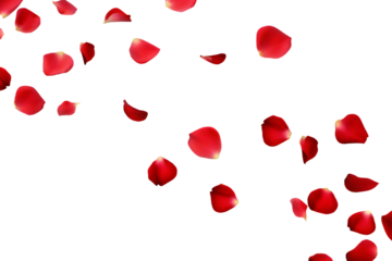   rose petals flying isolated on white background PNG , AI GENERATED