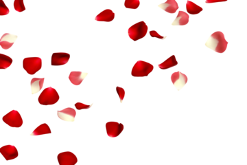   rose petals flying isolated on white background PNG , AI GENERATED