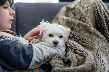 Sad eenager boy and cute maltese puppy together. Tired sick child holding his dog at home, hugging....