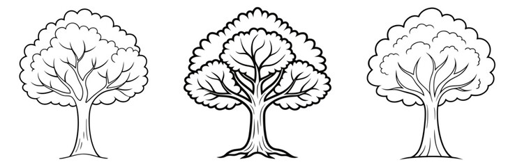 Obraz premium Hickory Tree Coloring Book Page - Line Art Outline Illustration