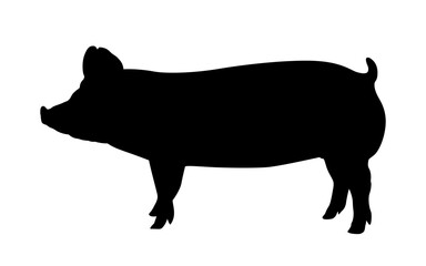 Pig shadow vector. Vector illustration of black icon logo. Pig shadow isolated on white. Pig outline. Side view.