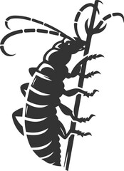 Vector illustration of a insect black drawing