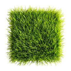 Lush green grass square patch nature texture