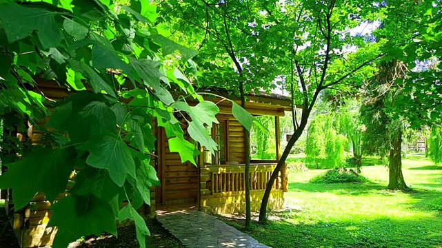 A beautiful wooden house in a park among trees