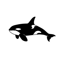 Silhouette of an orca swimming in the ocean water