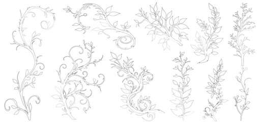 Elegant black and white line cad floral design elements. Intricate vine patterns with leaves. vector illustration
