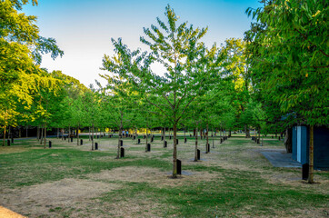 A View of Famous Park Of Music With Planted Trees and Music Playing Speaker Posts in Kildeparken, Aalborg, Denmark, 16 July 2018