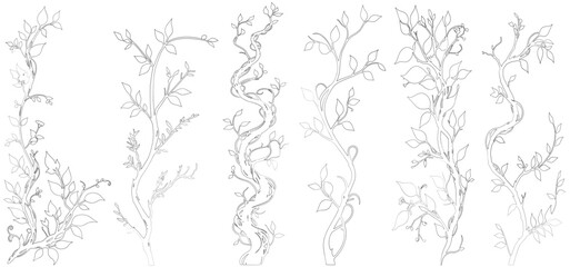 Silhouette ivy vine line cad vector, elegant black floral decorative border or corner design element of leaves in pretty layout. vector illustration © shahzad