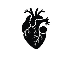 "Flat human heart icon. Anatomical vector illustration in minimal style."