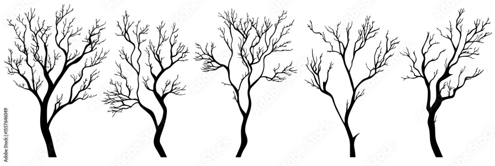 Poster set of five detailed bare tree branches silhouettes with thin twigs and no leaves isolated on white 