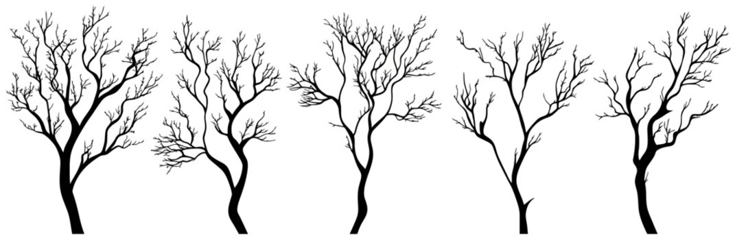 Set of five detailed bare tree branches silhouettes with thin twigs and no leaves isolated on white background vector illustration in flat minimalist style for winter and nature design elements