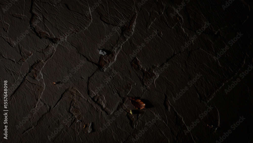 Poster a dark textured surface with subtle lighting highlighting the uneven surface and a few small objects