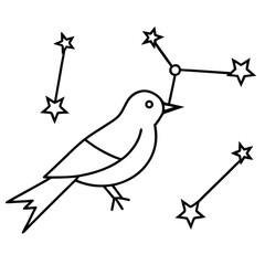 Stylized outline of a bird with constellations and stars on a white background