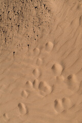 Texture of sand and earth, sand dunes and mountains