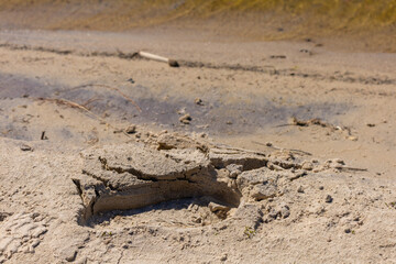 Texture of sand and earth, traces of human feet and shoes