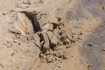 Texture of sand and earth, traces of human feet and shoes
