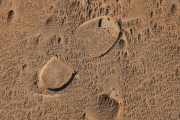 Texture of sand and earth, traces of human feet and shoes