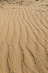 Texture of sand and earth, sand dunes and mountains